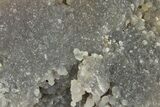 Sparkly Light Purple Botryoidal Grape Agate - Indonesia #370417-1